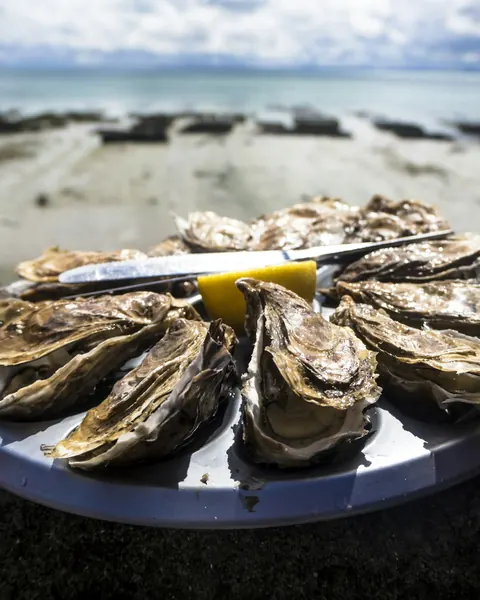 Assiette d’huîtres ouvertes et citron, posée sur un muret devant la baie
